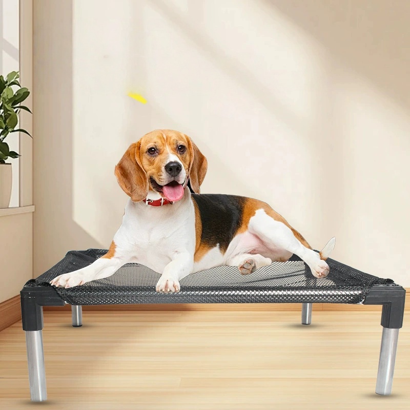 Cooling Elevated Dog Bed - Rai - Outdoor Daybed Sofa ulasan dan harga